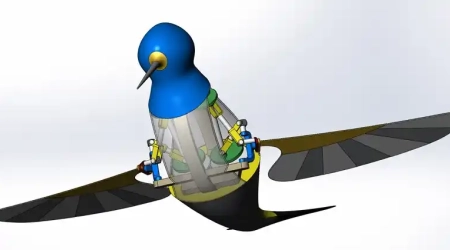 Flapping Wing Design in Motion Simulation