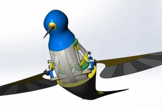 Flapping Wing Design in Motion Simulation